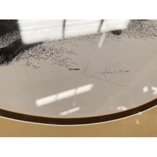 83 - A selection of framed and glazed signed and some limited edition prints of various breeds of dogs, i... 