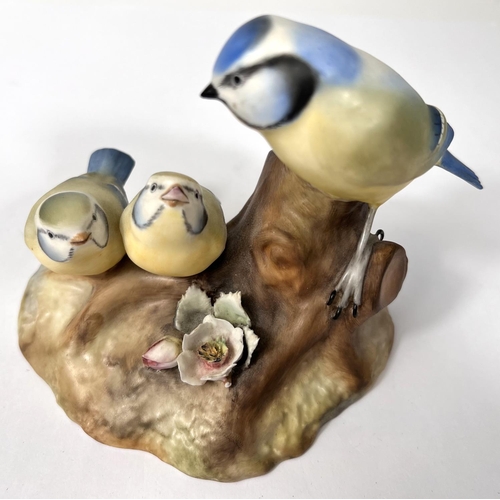 462 - A Royal Crown Derby porcelain group XXVII, Bluetit and chicks sample, monogrammed J.B.