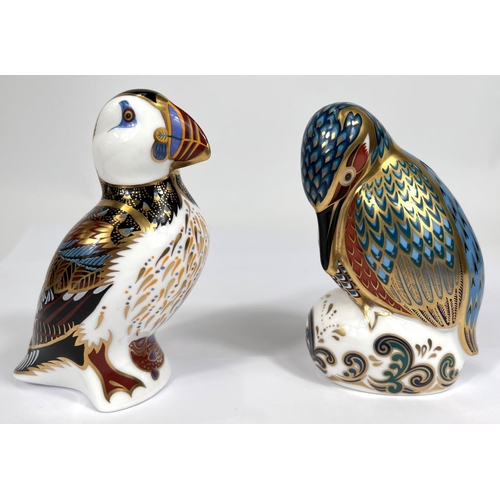 463A - Two Royal Crown Derby paperweights with gold backstoppers, Puffin LIX, Kedleston Kingfisher 2005 MMV... 