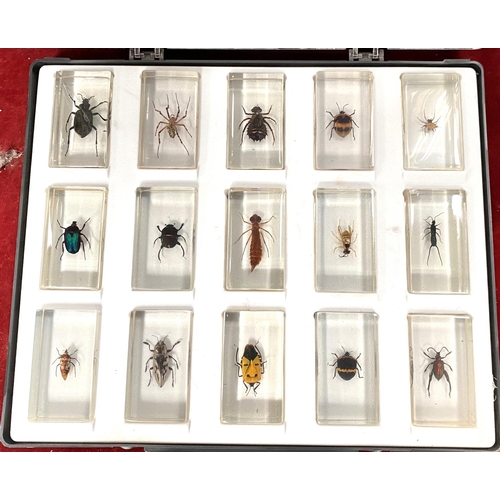 40E - Two trays of plastic insects; etc.