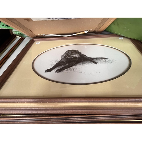 83 - A selection of framed and glazed signed and some limited edition prints of various breeds of dogs, i... 