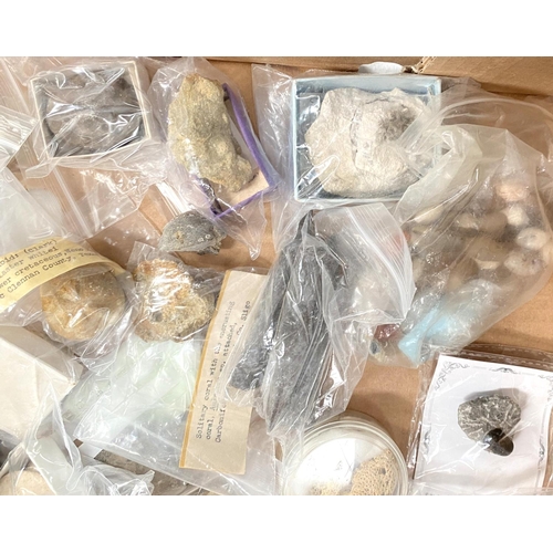 25 - A collection of fossils, mainly with identification.