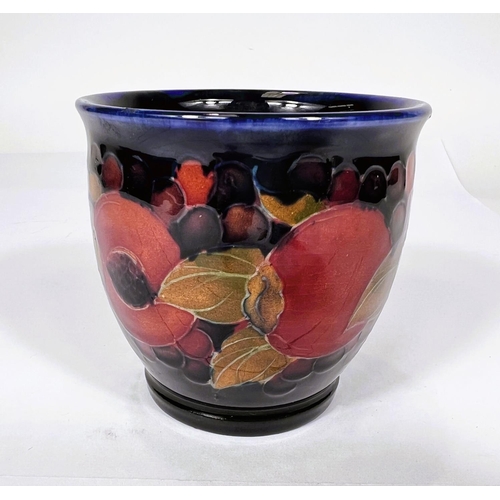 512A - A small Moorcroft Pomegranate pot 