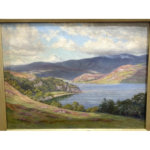 842 - Byron Cooper (1850-1933):  Lake landscape with hills oil on canvas, signed, 44 x 60cm, framedNo bids... 