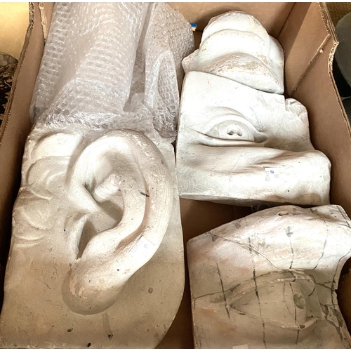 88B - 4 plaster plaques, ear, eyes and mouth of Michelangelo's 