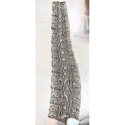 88A - A large vintage snakeskin, approx. 2m in length