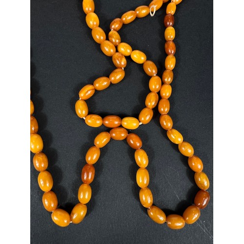 684 - A string of slightly graduating amber beads, length 98cm, largest bead 1.2cm, 32.7gm