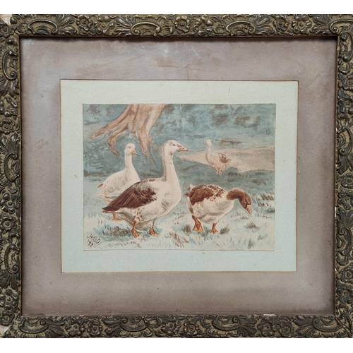 773 - A small watercolour of geese, monogrammed H.B.O '95, framed and glazed 12.5 x 17cm and another water... 