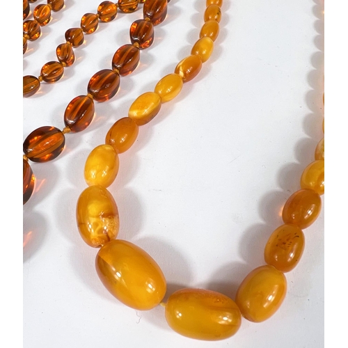 742 - Two amber coloured necklaces with graduating beads; a clear amber coloured glass bead necklace and a... 