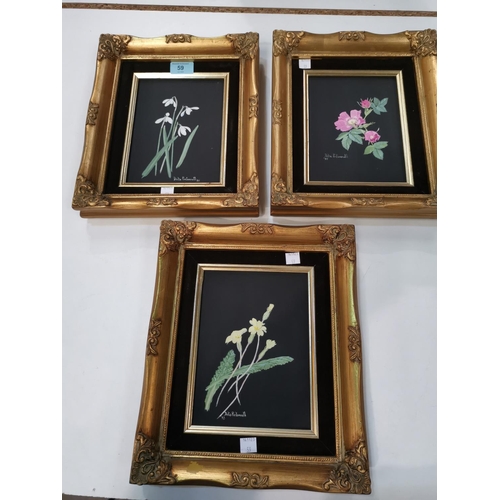 59 - Three Delia Portsmouth flower paintings, gilt framed, unglazed