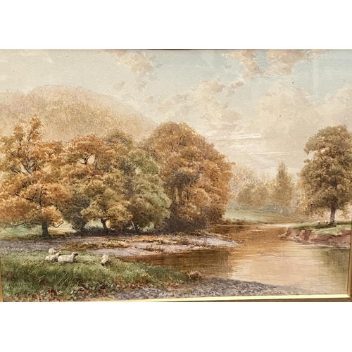 725 - James Whaite: (1867-1896) British watercolour, sheep next to river, 35 x 49cm, framed and glazed