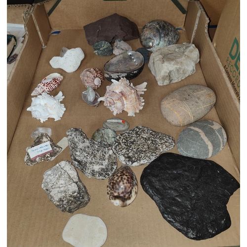 38 - A selection of various shells, rocks and minerals; sewing items and small brass items