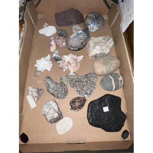 38 - A selection of various shells, rocks and minerals; sewing items and small brass items