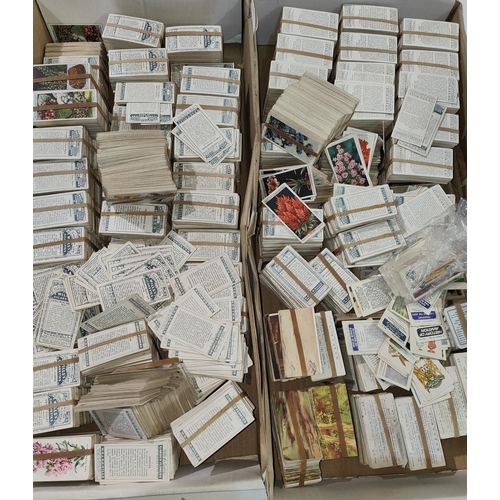 135 - A large selection of cigarette cards, John Player, Will's, etc.:  natural history; sports; etc.