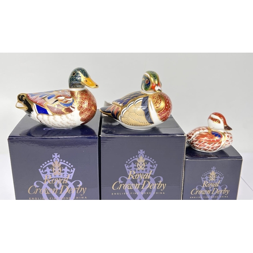 587 - Three Royal Crown Derby ducks 