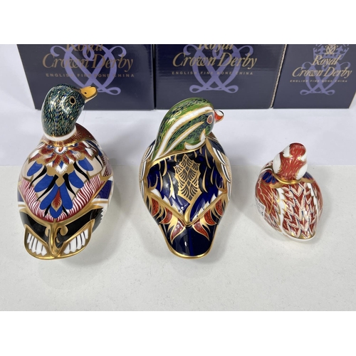 587 - Three Royal Crown Derby ducks 