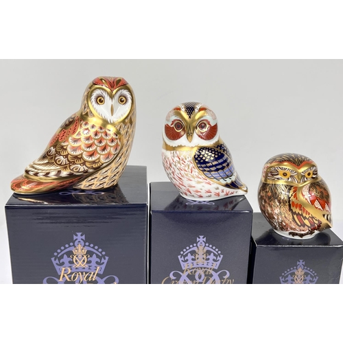 589 - Three Royal Crown Derby owls 