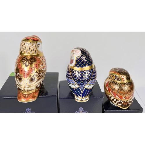 589 - Three Royal Crown Derby owls 