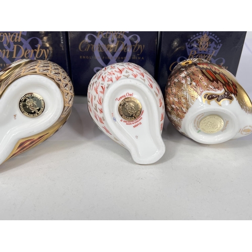 589 - Three Royal Crown Derby owls 