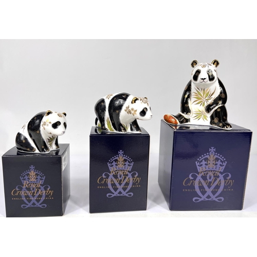 591 - Three Royal Crown Derby Pandas  