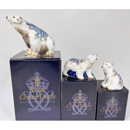 592 - Three Royal Crown Derby Polar Bears  