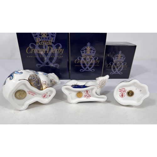 592 - Three Royal Crown Derby Polar Bears  