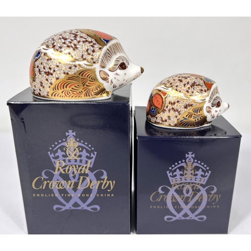 598A - Two Royal Crown Derby Hedgehogs 