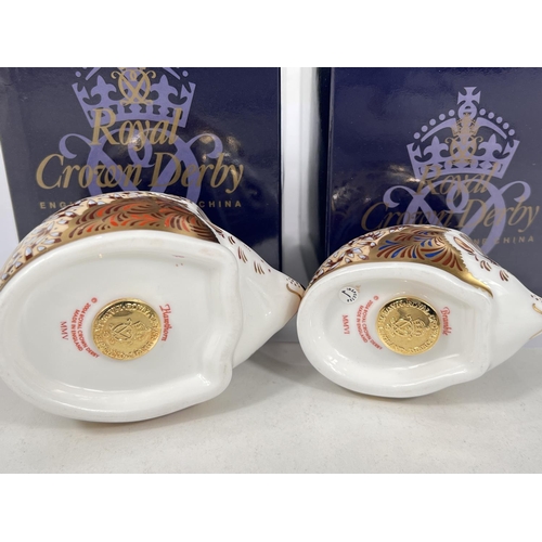 598A - Two Royal Crown Derby Hedgehogs 