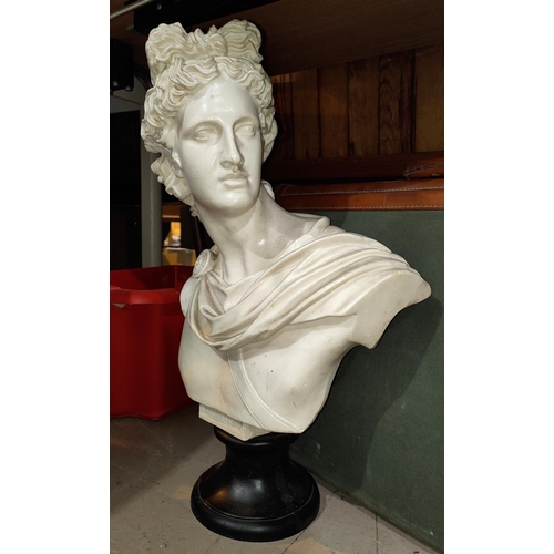 215A - A large modern classical Library style bust of Apollo in resin, height 55cm