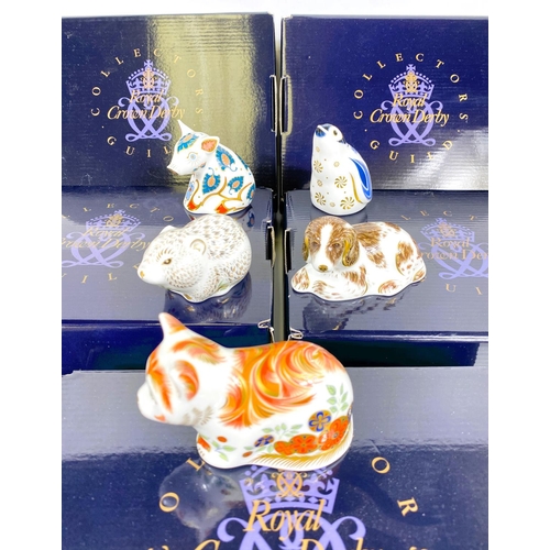 477 - Royal Crown Derby Paperweights:Collectors Guild pieces: large boxes; Spice Kitten MMXI; Snow flake R... 