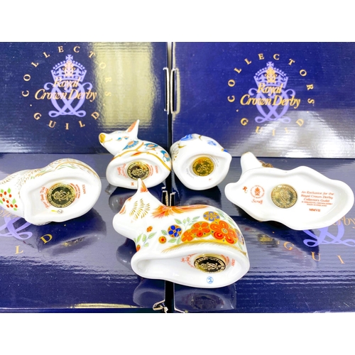 477 - Royal Crown Derby Paperweights:Collectors Guild pieces: large boxes; Spice Kitten MMXI; Snow flake R... 