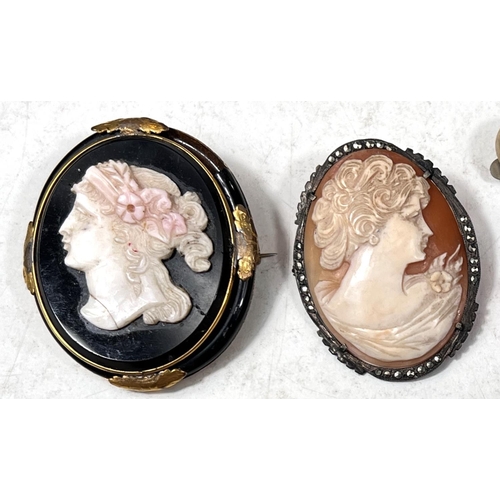 775A - A classical head cameo brooch on a gilt and black background (a.f.) nother cameo brooch and a small ... 