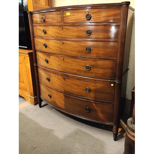 945 - A Regency period mahogany chest of 7 drawers with bow front and outset reeded side columns, on turne... 