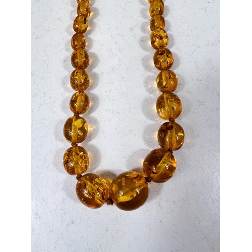 761A - A reconstituted amber necklace of beads with knots between beads