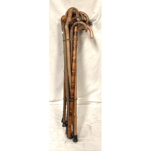 140 - A selection of walking sticks