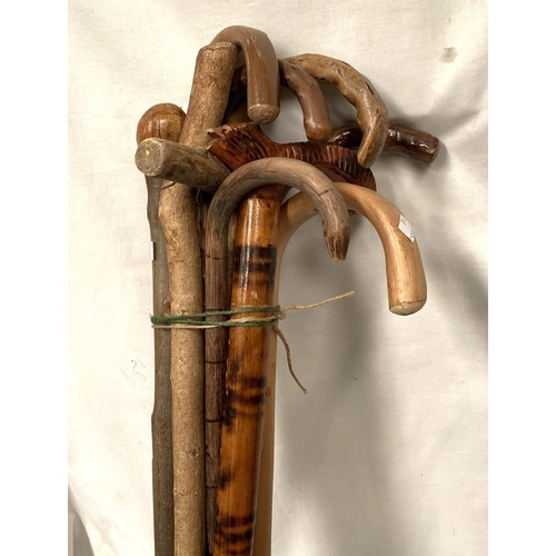 140 - A selection of walking sticks