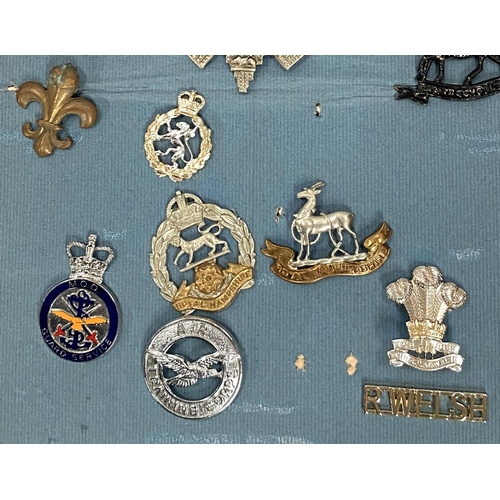 253 - A collection of military badges on a card including officers etc