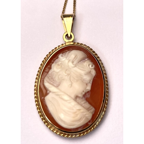 670 - A 9ct cameo pendant on fine chain stamped 9K