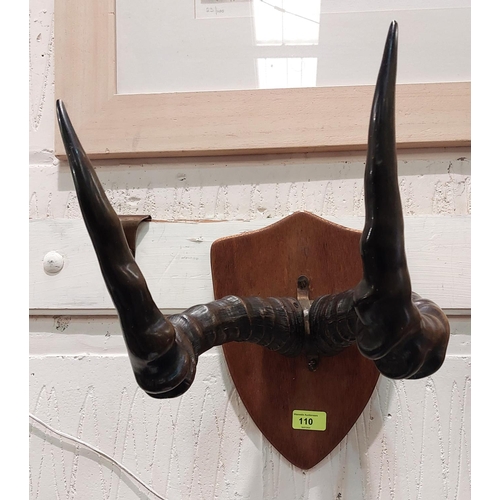 110 - A pair of Hartebeest antlers/Horns mounted on an oak shield wall plaque.