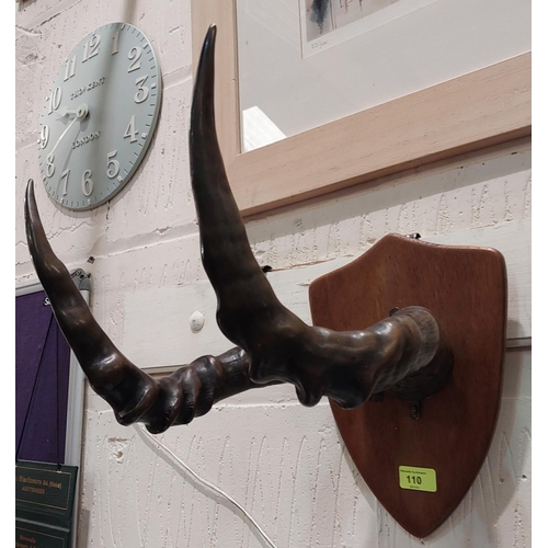 110 - A pair of Hartebeest antlers/Horns mounted on an oak shield wall plaque.