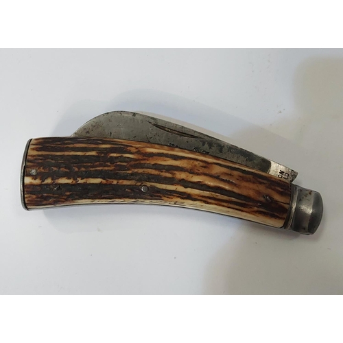 51 - A 19th century pruning knife with staghorn sides, F. NEWTON, Sheffield, 18.4cm (open)