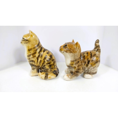 557 - Three Winstanley kittens, all with glass eyes, 2 standing, one seated, 2 size 1, one size 2 (this ha... 