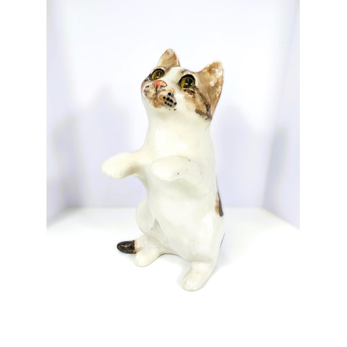 558 - A Winstanley cat, glass eyes, in 'begging' pose, signed, size 4