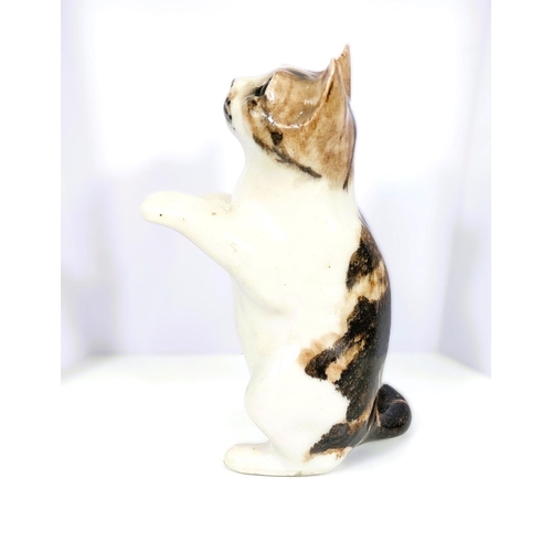 558 - A Winstanley cat, glass eyes, in 'begging' pose, signed, size 4