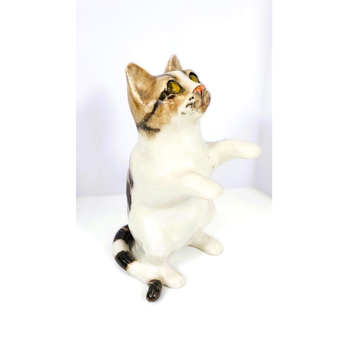 558 - A Winstanley cat, glass eyes, in 'begging' pose, signed, size 4