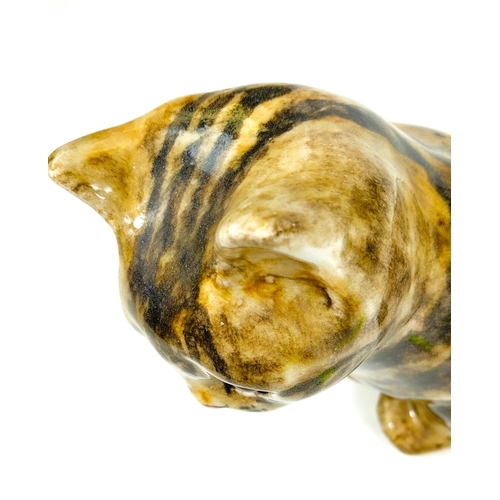 559 - A Winstanley cat, glass eyes, in seated position, signed, size 3