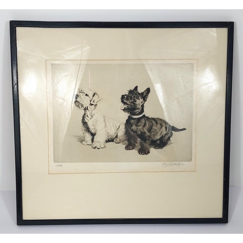 827 - CECIL ALDIN, British (1870- 1935) - drypoint print depicting two terriers, 