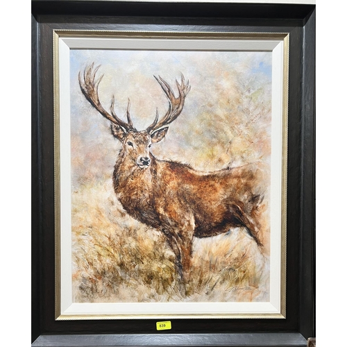 839 - Gary Benfield (British Contemporary) 'Majestic Stag' limited edition high quality print, 134/195 fra... 