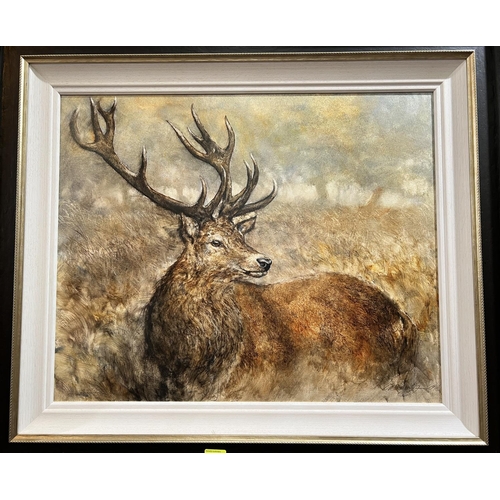 840 - Gary Benfield (British Contemporary) oil on board of a  Stag in long grass and woodland, signed lowe... 