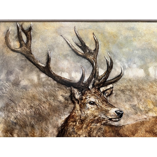 840 - Gary Benfield (British Contemporary) oil on board of a  Stag in long grass and woodland, signed lowe... 